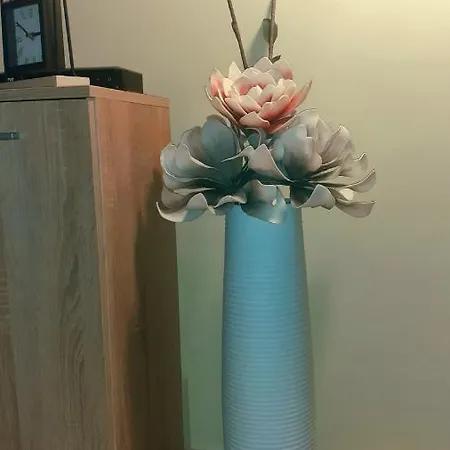 Bellissimo * Čačak