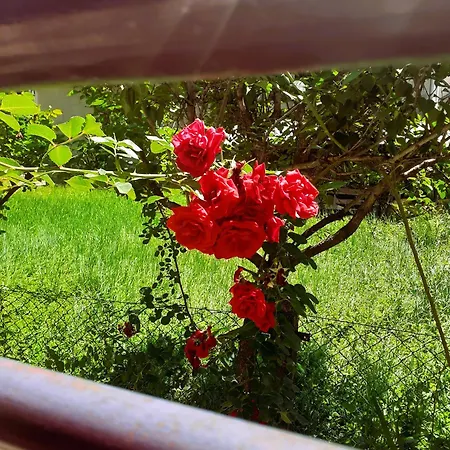 Διαμέρισμα Bellissimo *