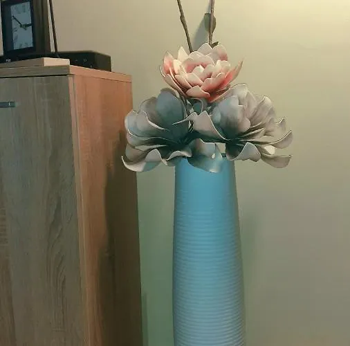 Bellissimo * Čačak